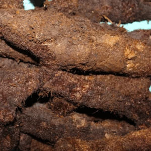Mudavattukal Powder